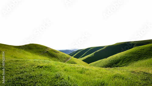 Green grassy hills on a white background. PNG transparent.