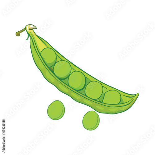 Vector Cartoon Green Peas Pod illustration