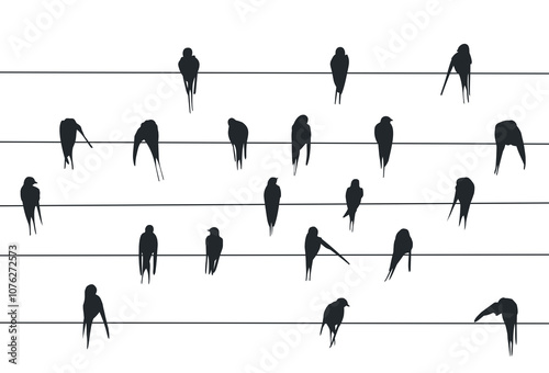 Silhouettes of swallows on a wire.
