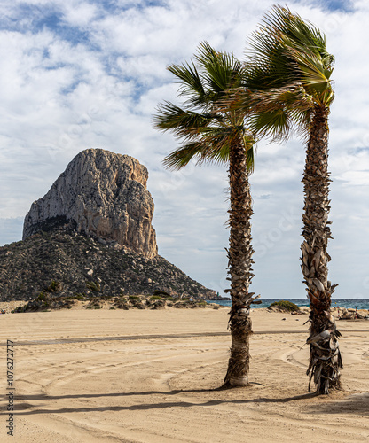 palm trees in the wind