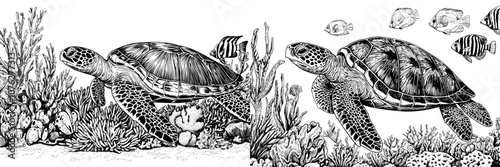 The turtle is underwater. There are seaweeds and fishes on the ocean bottom. Cartoon marine modern background with turtles and fishes.