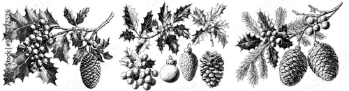 A sketch of fir branches, pine cones, and holly leaves with berries for Christmas. Hand drawn illustration of a branch with pine, from a decoration tree illustration. Christmas botanical vintage set.