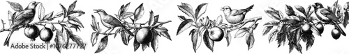 A nightingale on a branch with pomegranate isolated on a white background. Hand drawn in realistic style.