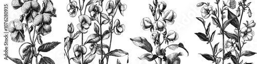 This is an illustration of a seamless flower pattern with a Sweet Pea flower and leaf in blue line.