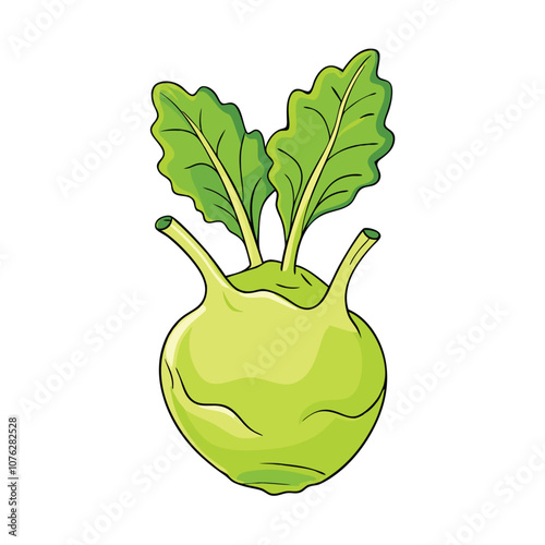 Vector Cartoon Kohlrabi Cabbage illustration