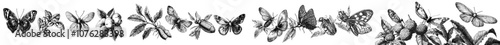 The insects collection is a collection of hand-drawn beetles, bugs, butterflies, dragonflies, cicada, moths, and bees in a vintage style.