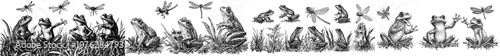 Funny frog jumping for flying insects. Cartoon pond frogs jumping and eating. Green toads eating dragonflies and relaxing. Fairytale nowaday modern characters moving.