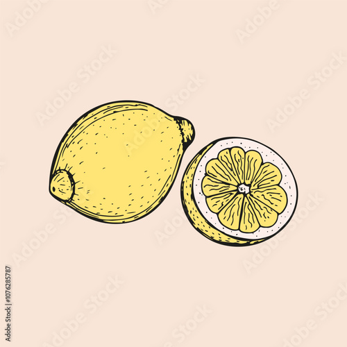 Lemon tropical citrus fruit sketch outline illustration. Simple doodle drawing in engraving style. Hand drawn vector line art clipart isolated on beige background