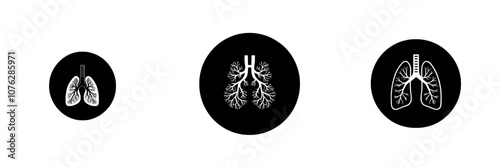 A modern icon illustration of the chest in healthcare and medicine