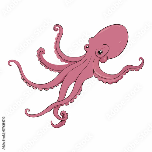 Vector Cartoon Octopus Cephalopod Color Illustration