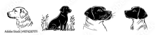 A silhouette of a dog on white background. A black dog isolated on white background. A cutout dog. Hand-drawn illustration of a dog.