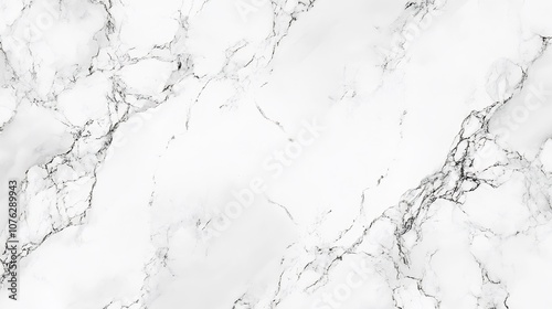 White Marble Texture with Black Veins