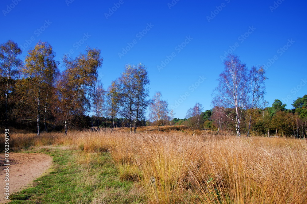 Diersfordt Diersfordt