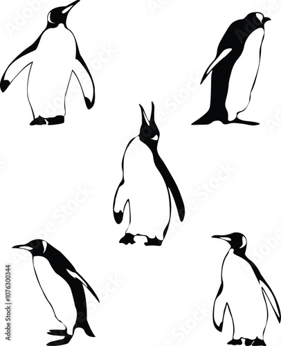 a collection of penguins black and white vector illustration