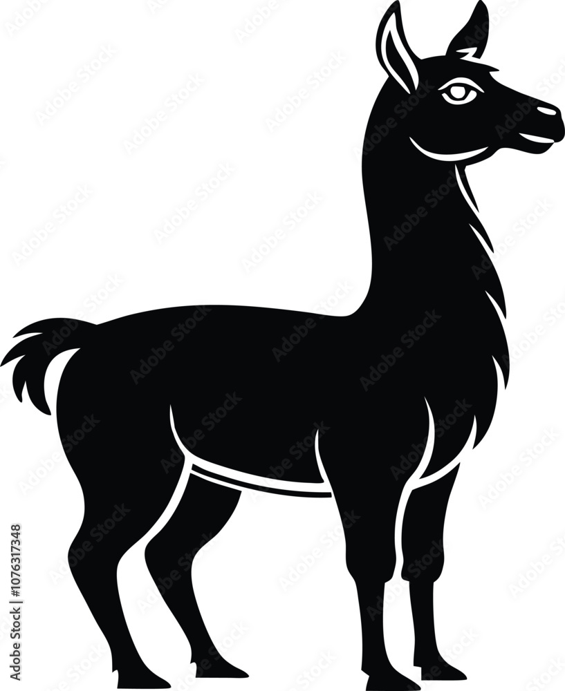 Obraz premium llama silhouette , animal silhouette alpaca Silhouette vector black