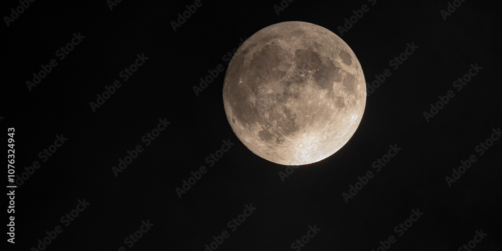 Fototapeta premium 夜空に輝く満月