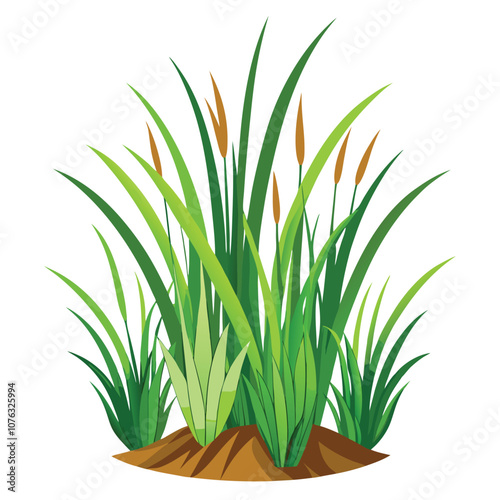 Detailed Grass Illustration in Nature Scene