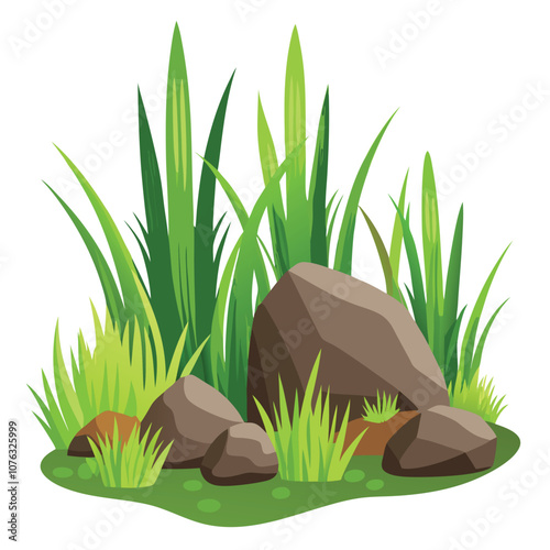 Grass and Rocks in Natural Landscape