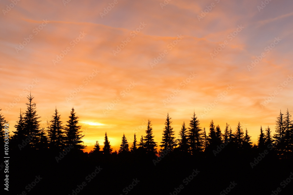 Landscape concept with colorful sunset against blue sky and forest in the evening. evening beautiful concept. landscape concept with colorful sunset against blue sky and forest in the evening. a. Landscape concept with colorful sunset against blue sky and forest in the evening. evening beautiful concept. landscape concept with colorful sunset against blue sky and forest in the evening. a.