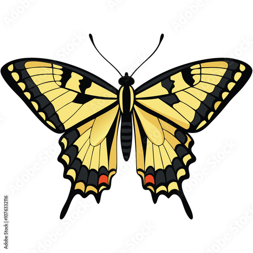 Eastern Tiger Swallowtail butterfly vector illustrations on a white background.