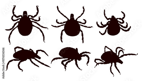 The Set of silhouettes of a ticks.