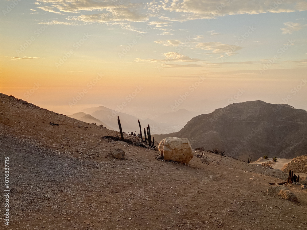 View of Some Cactus from Deserted and Dry Hills in “Apu Siqay” in Villa María del Triunfo, Lima, at Sunset