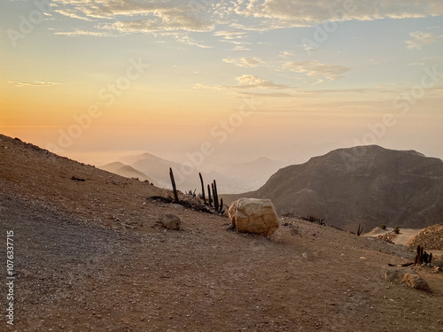 Obraz na płótnie View of Some Cactus from Deserted and Dry Hills in “Apu Siqay” in Villa María del Triunfo, Lima, at Sunset w salonie
