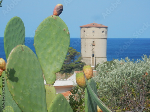 the old tower in Campese, Giglio island, Tuscan archipelago, Tuscany, Grosseto province, Tyrrhenian Sea, Italy photo