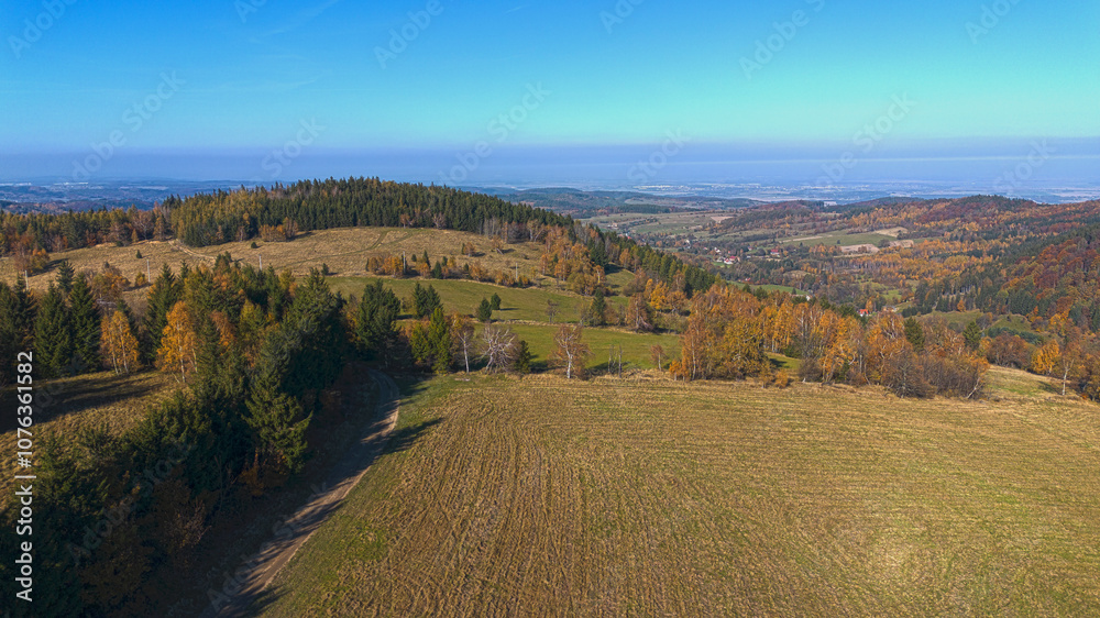 Fototapeta premium Mountains covered with colorful autumn trees, autumn mountain aerial landscape. Drone view