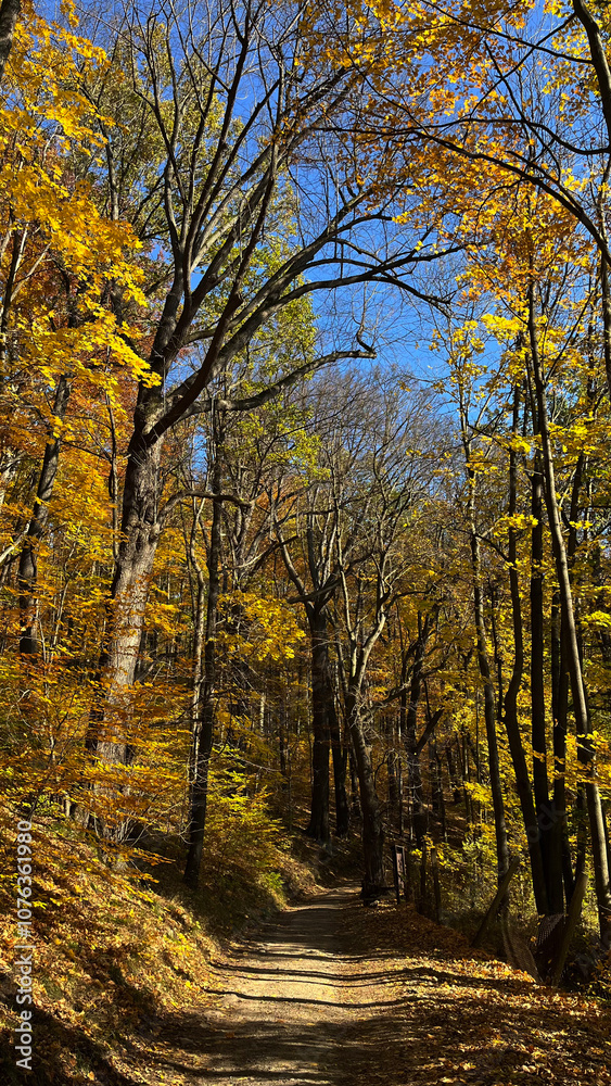 Hiking trail in a mountain autumn forest in Poland. Hiking trail in a mountain autumn forest in Poland.