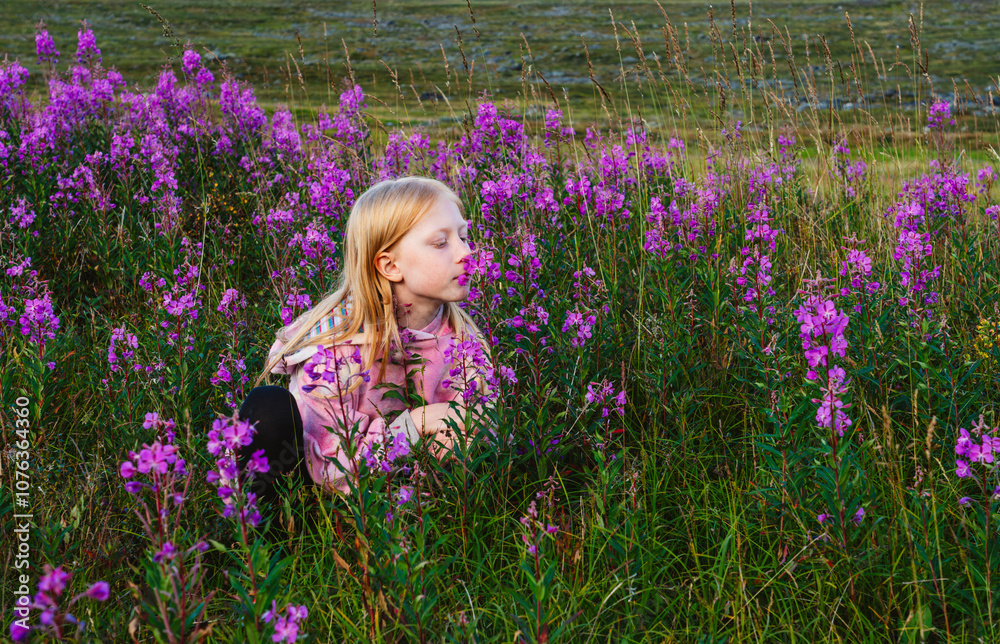Girl smelling purple willowherbs at Kungsleden hiking trail Girl smelling purple willowherbs at Kungsleden hiking trail