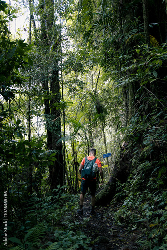 hiker in the woods