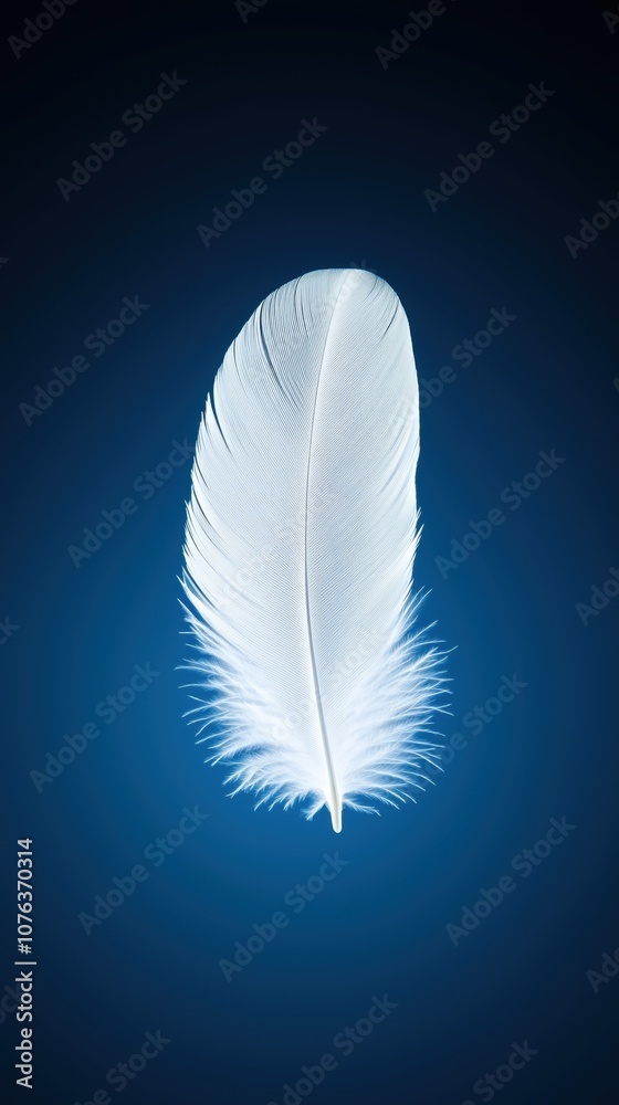 A delicate white feather floating gracefully against a deep blue background, symbolizing purity and lightness in nature. A delicate white feather floating gracefully against a deep blue background, symbolizing purity and lightness in nature.