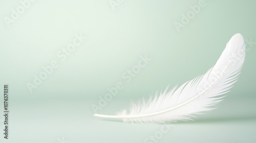 A delicate white feather rests on a soft, mint green background, creating a serene and calming aesthetic for various uses.