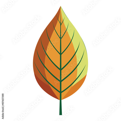 beech leaf vector art for autumn tree and botanical designs