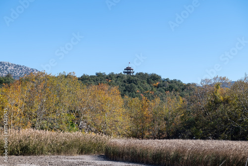 Wooden observation tower on a hill in a forested area. photo