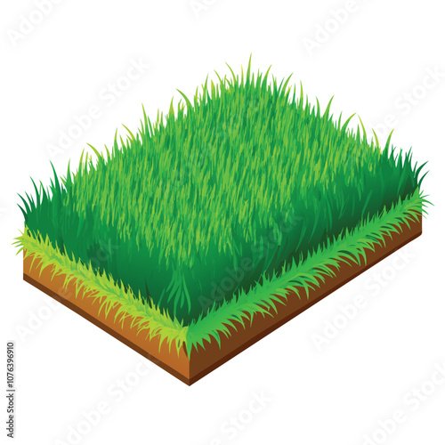 Realistic Grass Carpet Texture