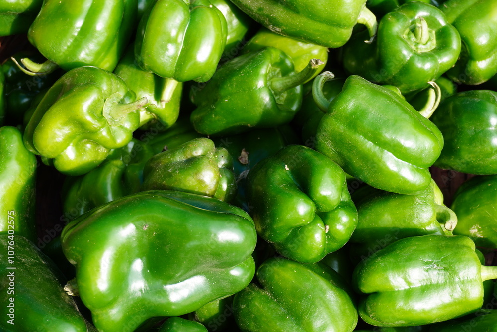 Fresh green capsicums in the market in close up Fresh green capsicums in the market in close up