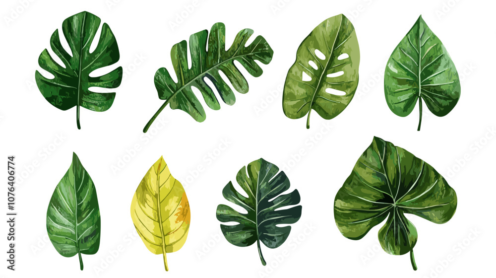 Set of hand drawn watercolor tropical monstera leaves and palm, fern fronds vector illustration on a transparent background png