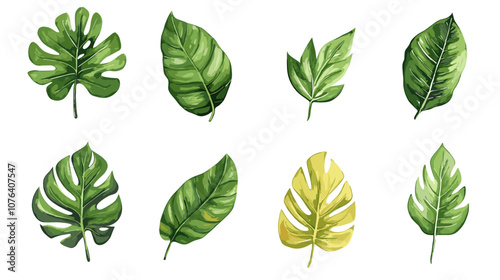 Set of hand drawn watercolor tropical monstera leaves and palm, fern fronds vector illustration on a transparent background png