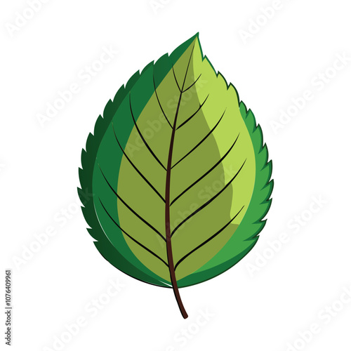 detailed elm leaf silhouette vector illustration