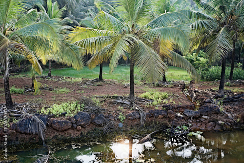 Obraz na płótnie Lush Greenery - The Jungle of Gokarna w salonie