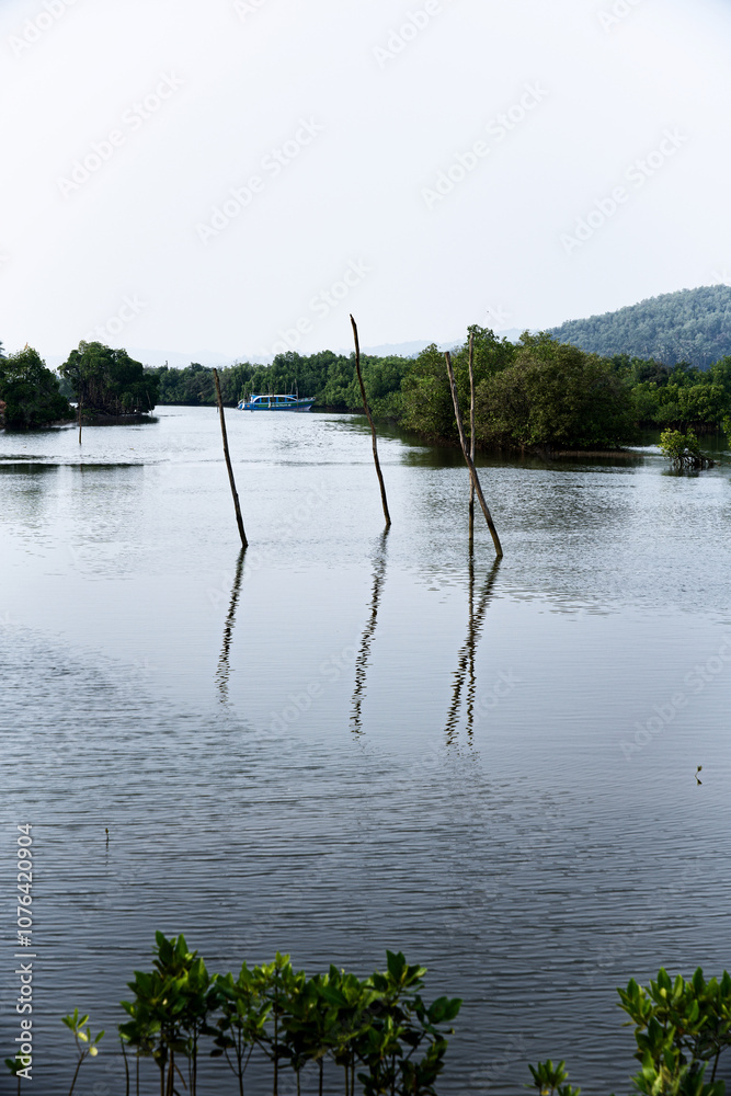 Unchanging Nature: The Charm of Dead Wood in Gokarna