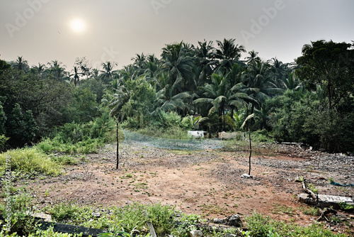 Obraz na płótnie Hidden Volleyball Court in the Heart of Gokarna Jungle w salonie