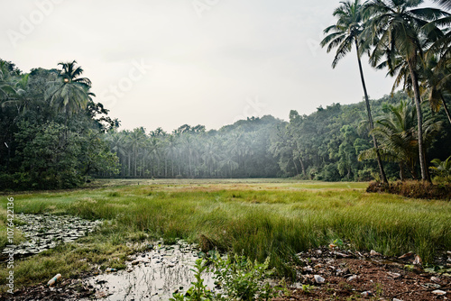Obraz na płótnie Lush Greenery - The Jungle of Gokarna w salonie