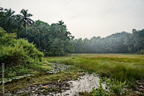 Obraz na płótnie Lush Greenery - The Jungle of Gokarna w salonie