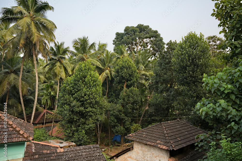 Lush Greenery - The Jungle of Gokarna