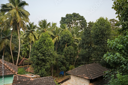 Obraz na płótnie Lush Greenery - The Jungle of Gokarna w salonie