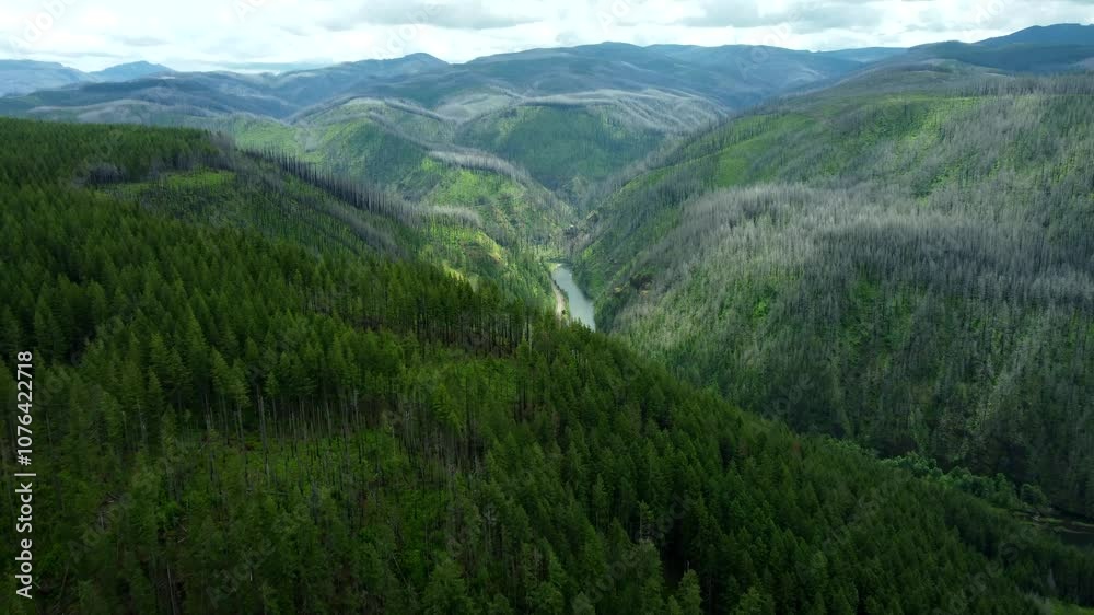 USA, OR, Estacada, Promontory Park, 2024-06-17 - Flying over the North Fork of the Clackamas River at the PGE Campground