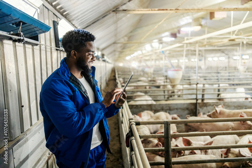 Black agriculturist standing in barn full of pigs and scrolling on tablet. Modern animal breeding. photo